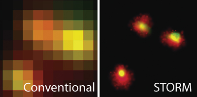 Two-color nanoscopy of organelles for extended times with HIDE