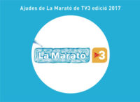 IBEC projects awarded Marato 2017 funding