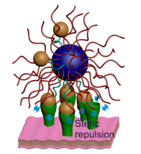 Range selectivity, a new concept that could lead to more efficient nanoparticle drug delivery 
