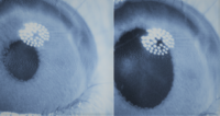 New molecules developed in IBEC allow dilating the pupil with light