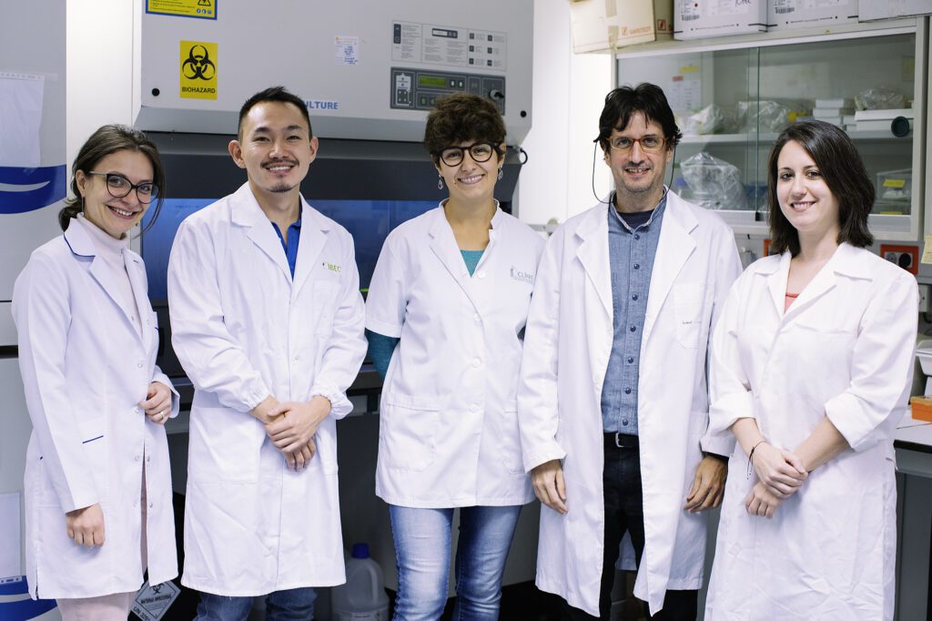 From left to right: Marselina Arshakyan (co-first author of the study), Rafael Ikemori, Paula Duch, Jordi Alcaraz and Marta Gabasa.