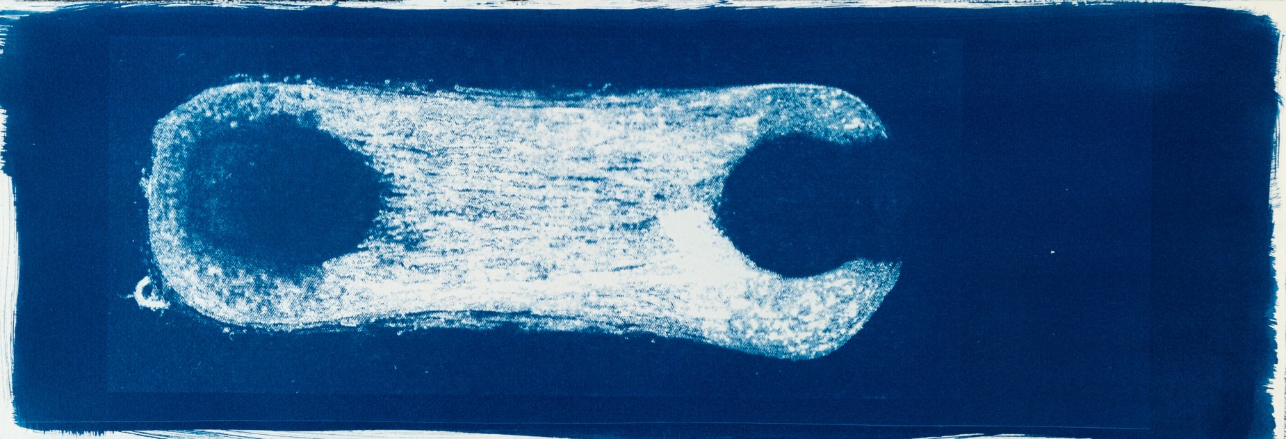 Cianotípia de Roser Salarich de l’obra «Antifaç muscular»: la imatge científica revelada en blanc sobre paper blau intens.