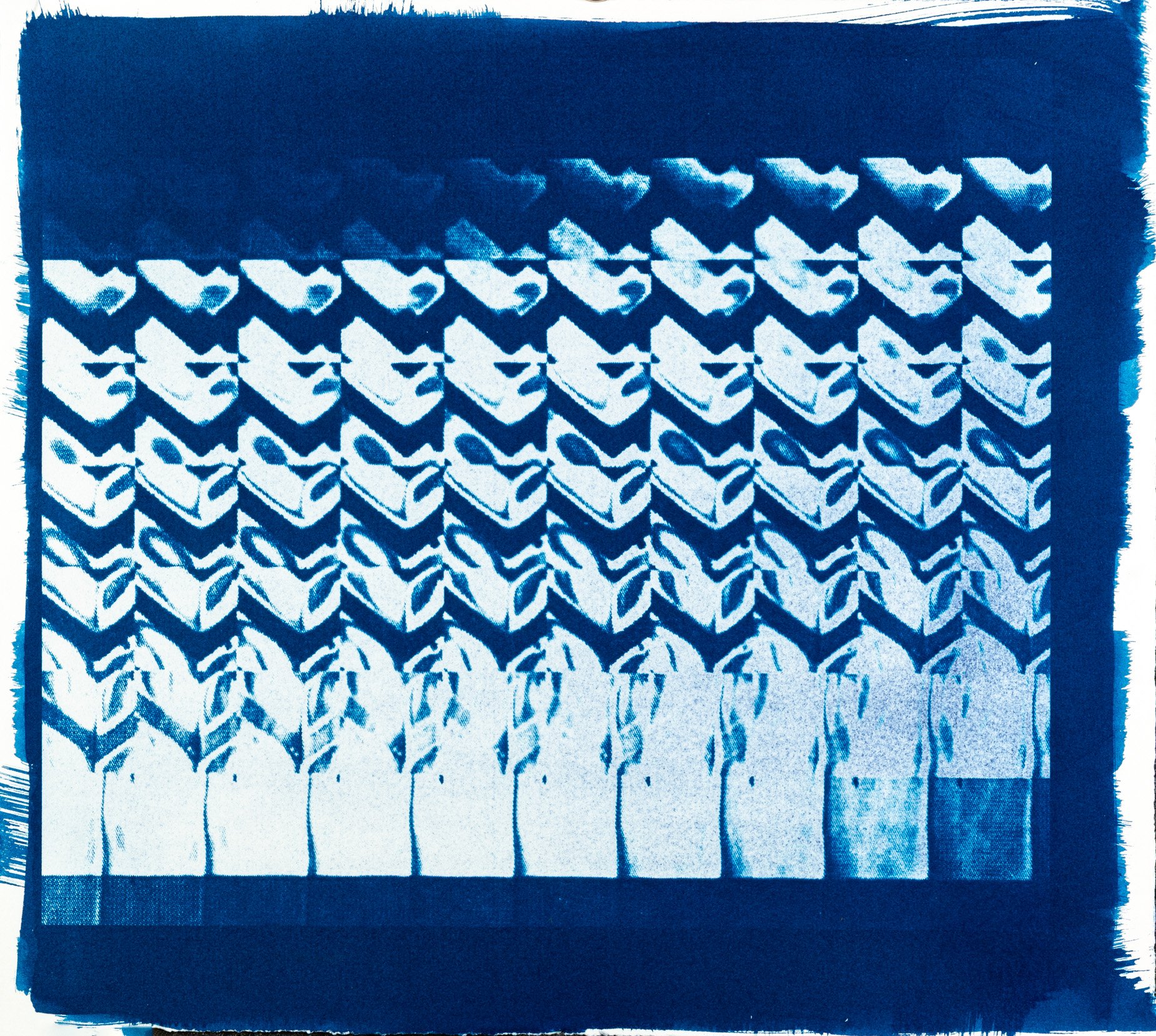 Cianotípia de Roser Salarich de l’obra «Remolins fluorescents»: la imatge científica revelada en blanc sobre paper blau intens.